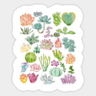 succulent collection ink and watercolor Sticker